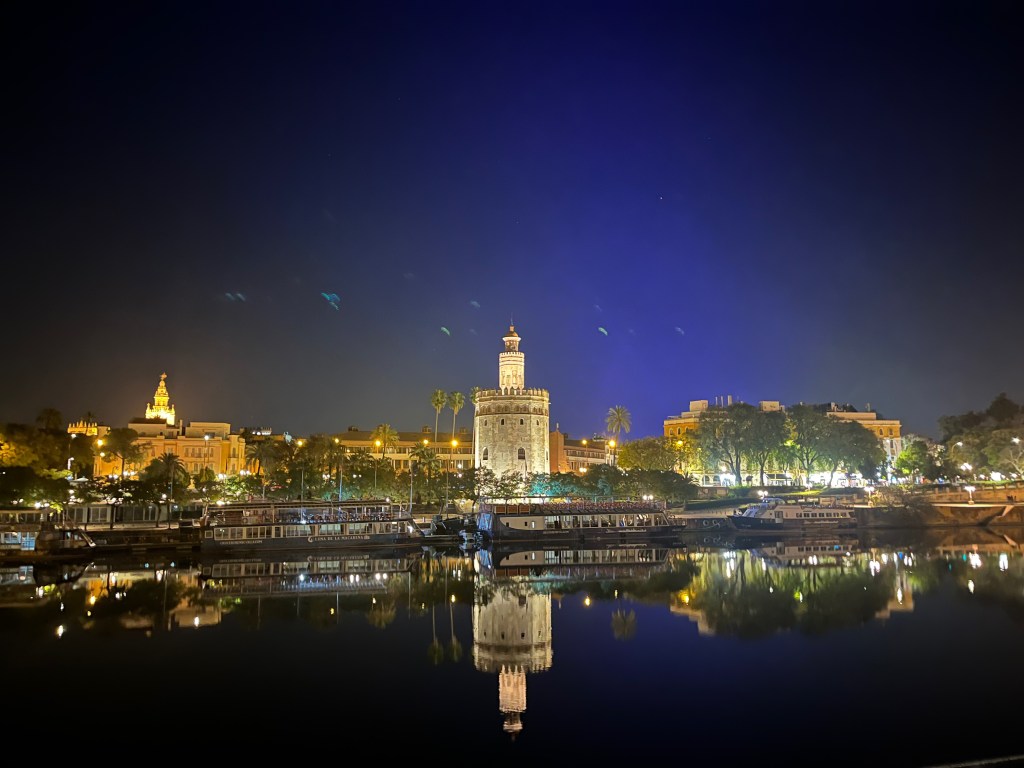 Professional Conference in Sevilla